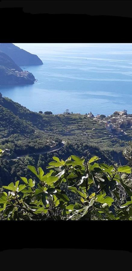 Affittacamere Il Timone Corniglia Bagian luar foto