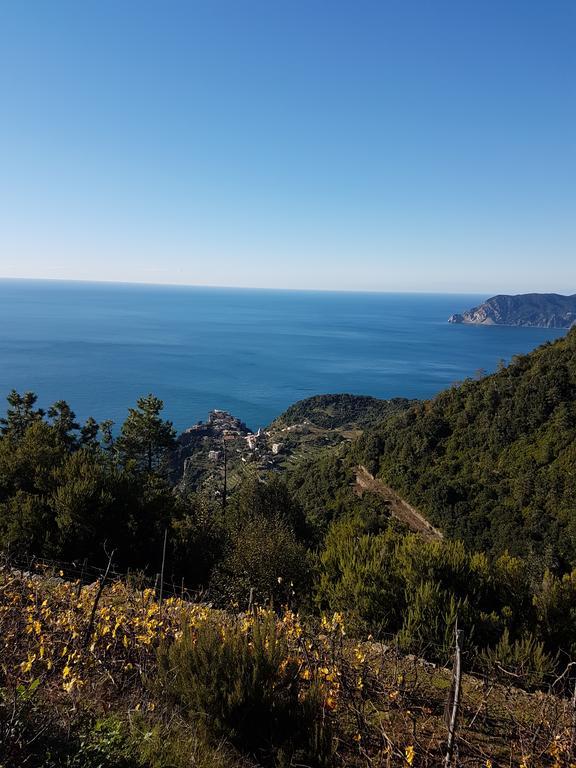 Affittacamere Il Timone Corniglia Bagian luar foto